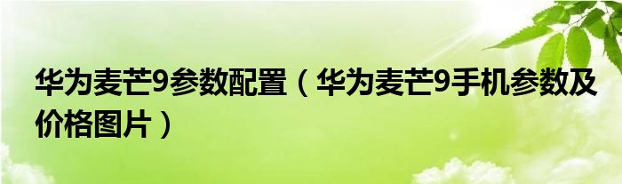 华为麦芒9参数配置（华为麦芒9手机参数及价格图片）