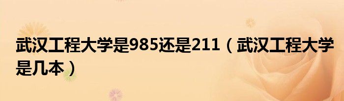 武汉工程大学是985还是211（武汉工程大学是几本）