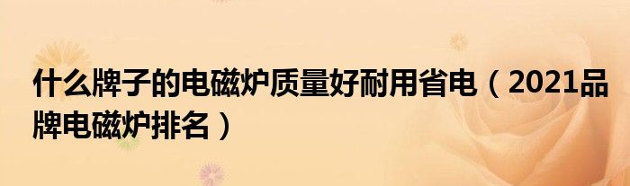 什么牌子的电磁炉质量好耐用省电（2021品牌电磁炉排名）