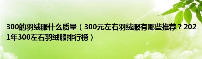 300的羽绒服什么质量（300元左右羽绒服有哪些推荐？2021年300左右羽绒服排行榜）