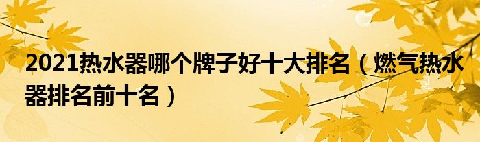 2021热水器哪个牌子好十大排名（燃气热水器排名前十名）