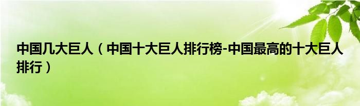 中国几大巨人（中国十大巨人排行榜-中国最高的十大巨人排行）