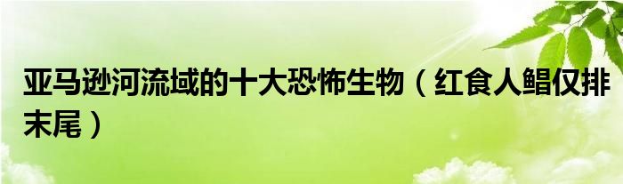 亚马逊河流域的十大恐怖生物（红食人鲳仅排末尾）