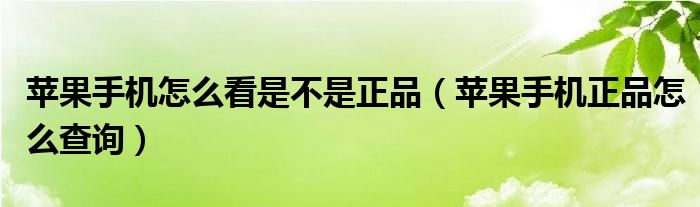 苹果手机怎么看是不是正品（苹果手机正品怎么查询）