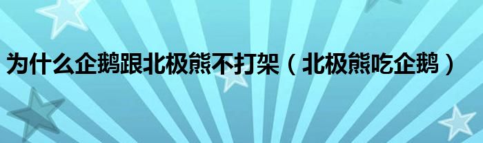 为什么企鹅跟北极熊不打架（北极熊吃企鹅）