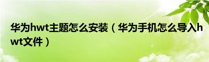 华为hwt主题怎么安装（华为手机怎么导入hwt文件）