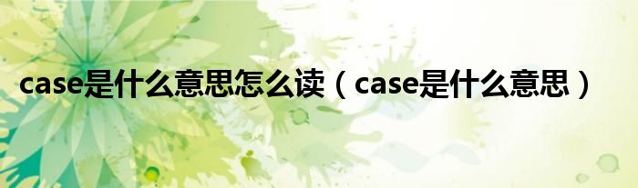 case是什么意思怎么读（case是什么意思）