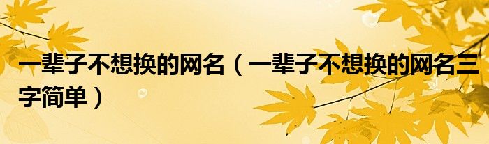 一辈子不想换的网名（一辈子不想换的网名三字简单）