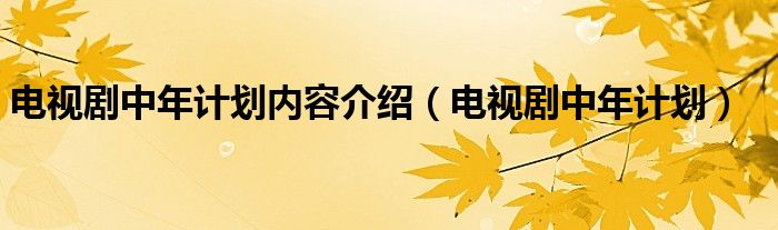 电视剧中年计划内容介绍（电视剧中年计划）