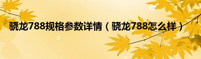 骁龙788规格参数详情（骁龙788怎么样）