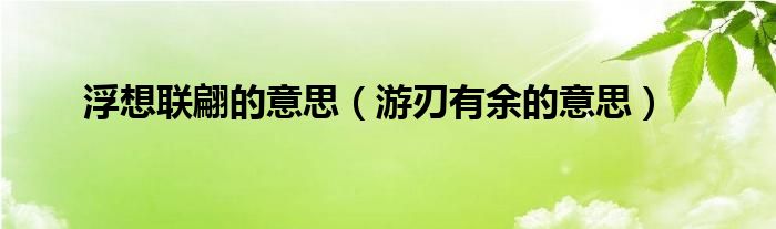 浮想联翩的意思（游刃有余的意思）