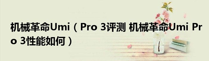 机械革命Umi（Pro 3评测 机械革命Umi Pro 3性能如何）