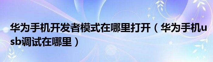 华为手机开发者模式在哪里打开（华为手机usb调试在哪里）