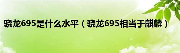 骁龙695是什么水平（骁龙695相当于麒麟）