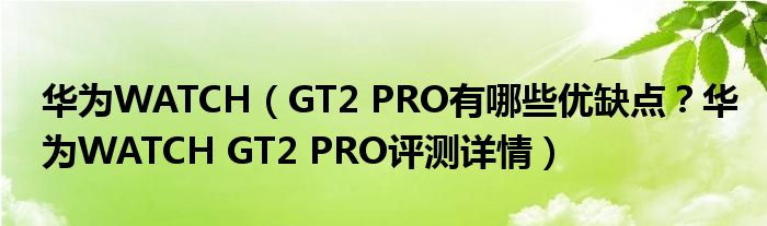 华为WATCH（GT2 PRO有哪些优缺点？华为WATCH GT2 PRO评测详情）