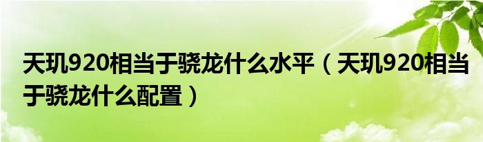 天玑920相当于骁龙什么水平（天玑920相当于骁龙什么配置）