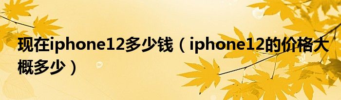 现在iphone12多少钱（iphone12的价格大概多少）