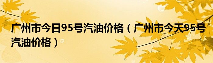 广州市今日95号汽油价格（广州市今天95号汽油价格）