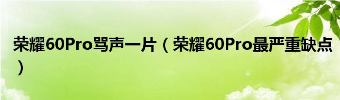 荣耀60Pro骂声一片（荣耀60Pro最严重缺点）