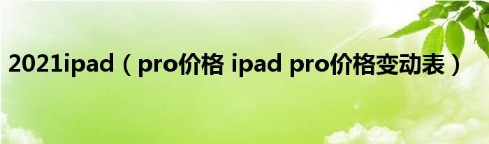 2021ipad（pro价格 ipad pro价格变动表）