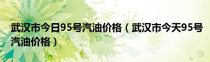 武汉市今日95号汽油价格（武汉市今天95号汽油价格）