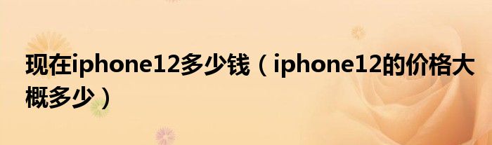 现在iphone12多少钱（iphone12的价格大概多少）