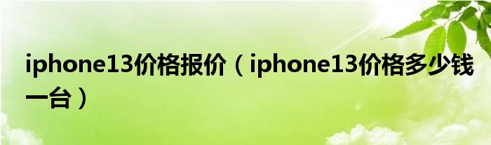 iphone13价格报价（iphone13价格多少钱一台）