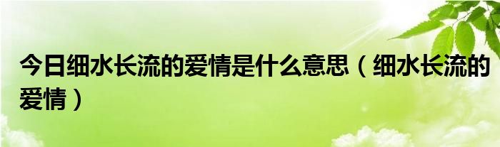 今日细水长流的爱情是什么意思（细水长流的爱情）