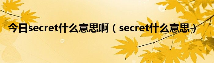 今日secret什么意思啊（secret什么意思）