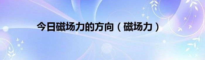 今日磁场力的方向（磁场力）