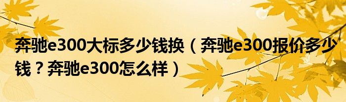 奔驰e300大标多少钱换（奔驰e300报价多少钱？奔驰e300怎么样）