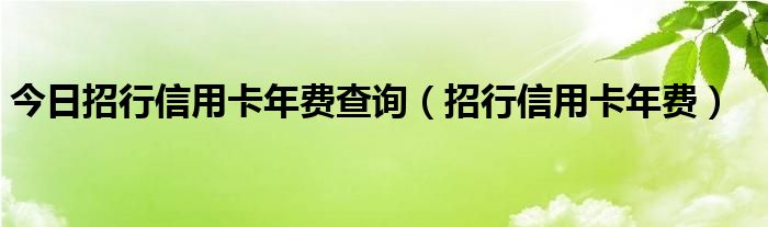 今日招行信用卡年费查询（招行信用卡年费）