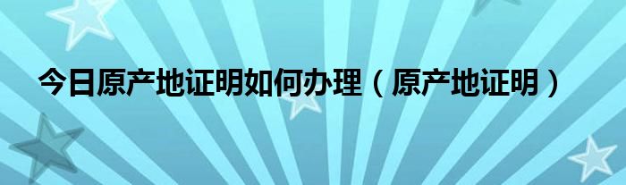 今日原产地证明如何办理（原产地证明）