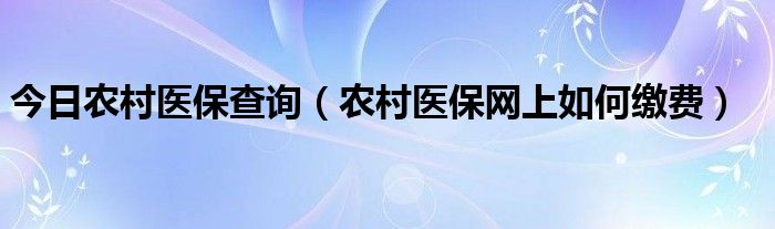 今日农村医保查询（农村医保网上如何缴费）