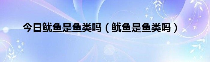 今日鱿鱼是鱼类吗（鱿鱼是鱼类吗）