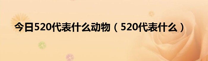 今日520代表什么动物（520代表什么）