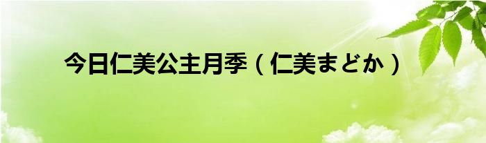 今日仁美公主月季（仁美まどか）