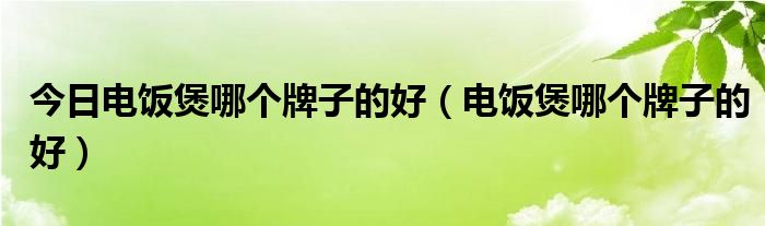 今日电饭煲哪个牌子的好（电饭煲哪个牌子的好）