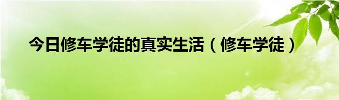 今日修车学徒的真实生活（修车学徒）