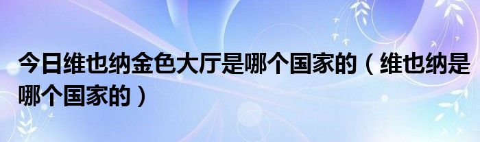 今日维也纳金色大厅是哪个国家的（维也纳是哪个国家的）