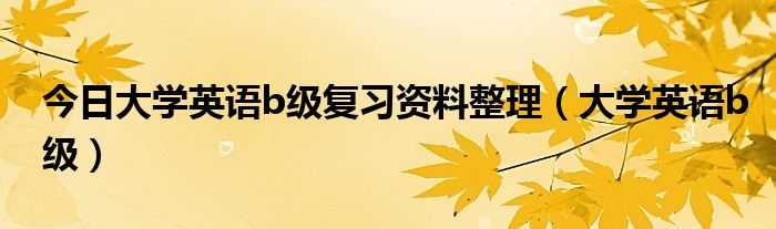 今日大学英语b级复习资料整理（大学英语b级）