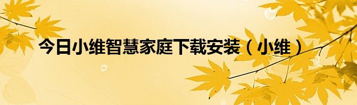 今日小维智慧家庭下载安装（小维）