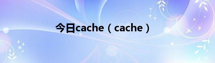 今日cache（cache）