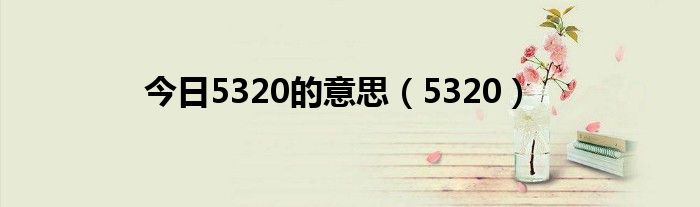 今日5320的意思（5320）