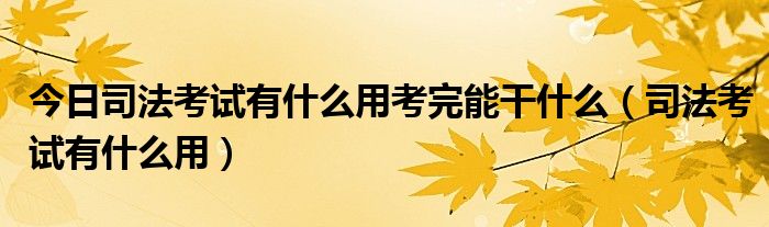 今日司法考试有什么用考完能干什么（司法考试有什么用）