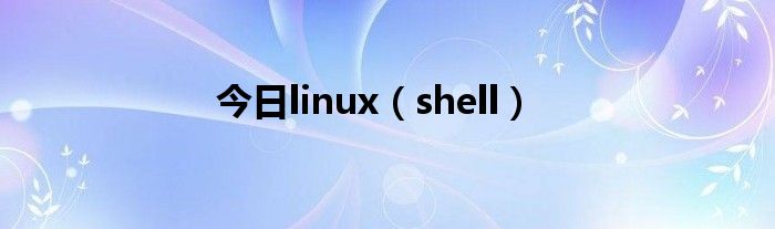 今日linux（shell）