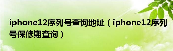 iphone12序列号查询地址（iphone12序列号保修期查询）