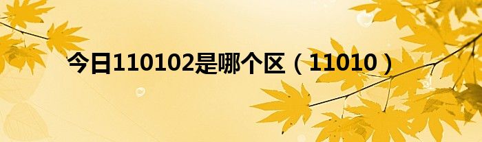 今日110102是哪个区（11010）