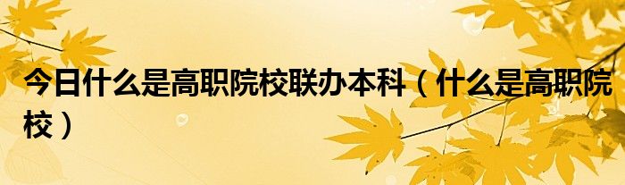 今日什么是高职院校联办本科（什么是高职院校）