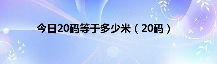 今日20码等于多少米（20码）